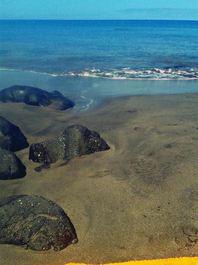 Apartamento A 1 Minuto De La Playa De Sardina Las Palmas de Gran Canária Exterior foto